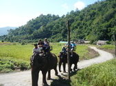 Enlarge photo 127