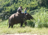 Enlarge photo 131