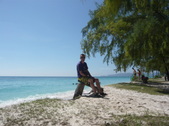 Enlarge photo 276