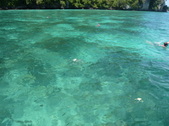 Enlarge photo 289