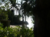 Enlarge photo 318