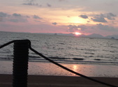 Enlarge photo 342