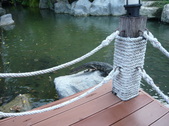 Enlarge photo 362