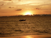 Enlarge photo 374