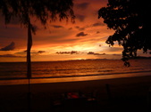 Enlarge photo 376
