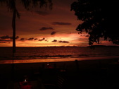 Enlarge photo 377