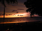 Enlarge photo 378