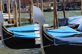Enlarge photo 61