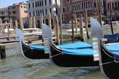 Enlarge photo 63