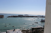 Enlarge photo 74