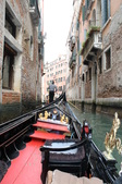 Enlarge photo 119