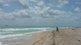 Enlarge photo 19