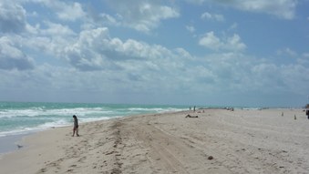 Enlarge photo 20
