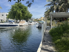 Enlarge photo 73