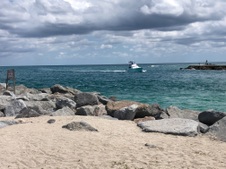 Enlarge photo 110