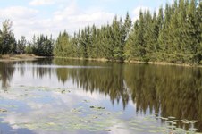 Enlarge photo 52