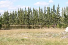 Enlarge photo 50