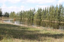 Enlarge photo 57