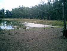 Enlarge photo 81