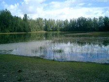 Enlarge photo 84