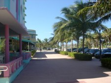 Enlarge photo 35