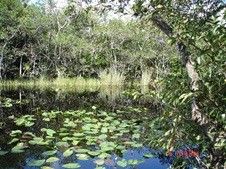 Enlarge photo 151