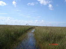 Enlarge photo 152