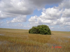 Enlarge photo 153