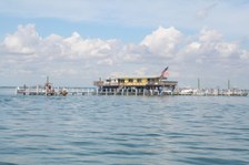 Enlarge photo 82