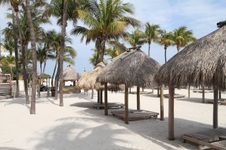 Enlarge photo 114