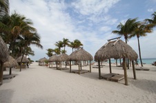 Enlarge photo 116