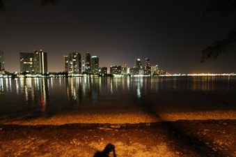 Enlarge photo 58