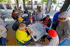 Enlarge photo 137