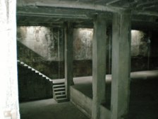 Enlarge photo 137