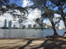 Enlarge photo 37