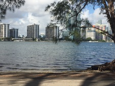 Enlarge photo 38