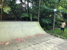 Enlarge photo 24