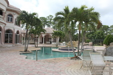 Enlarge photo 97
