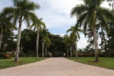 Enlarge photo 119