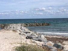 Enlarge photo 22