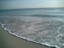 Enlarge photo 26