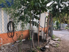 Enlarge photo 5