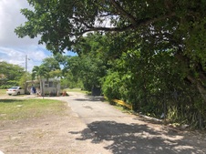 Enlarge photo 106