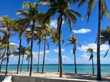 Enlarge photo 32