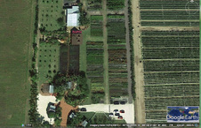 Enlarge photo 87