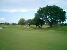 Enlarge photo 270