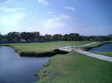 Enlarge photo 271