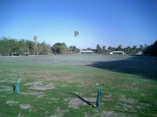 Enlarge photo 277
