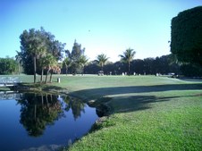 Enlarge photo 276