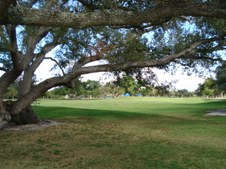 Enlarge photo 311